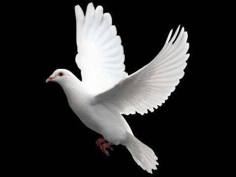 Pray Image