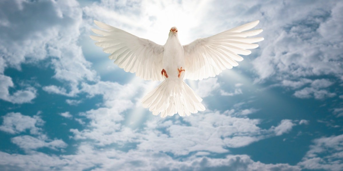 Pray Image
